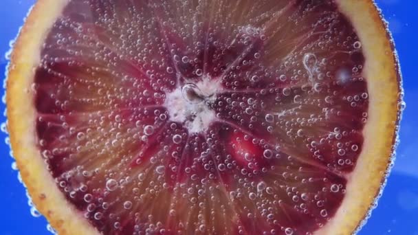 Blood-orange cocktail. selective focus. juicy ripe fruit in water. close up — Stock Video