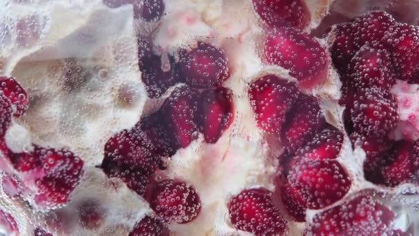 Гранатовая ягода, фруктовый крупный план в водном макро. Пуника крупнолистная — стоковое видео