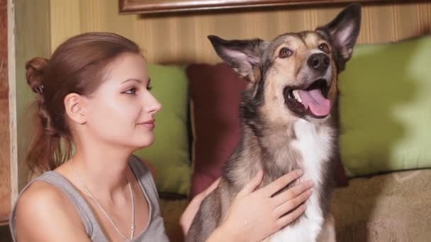 Jong meisje streelt een hond in close-up. Huisdieren vrienden — Stockvideo