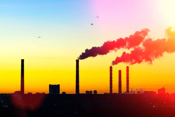 パイプ工場は工場を煙 日没の空を背景にした植物です選択的焦点 — ストック写真