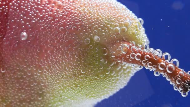 Fruta de pera macro de primer plano en agua con burbujas. fruta fresca — Vídeo de stock