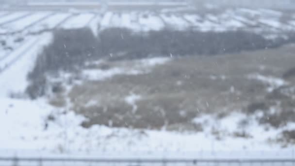 Nieve sobre un fondo borroso en invierno fuera de la ventana. Invierno frío — Vídeos de Stock