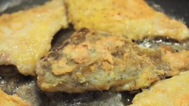 Poisson frit dans l'huile sur une casserole close-up. filet de poisson — Video