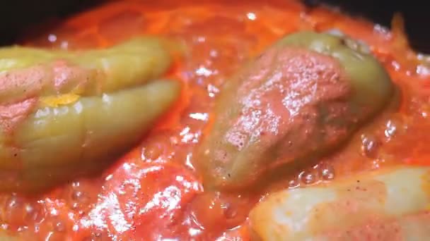 Gevulde paprika 's in een pan in tomatensaus close-up. Koken van stoofgroenten — Stockvideo