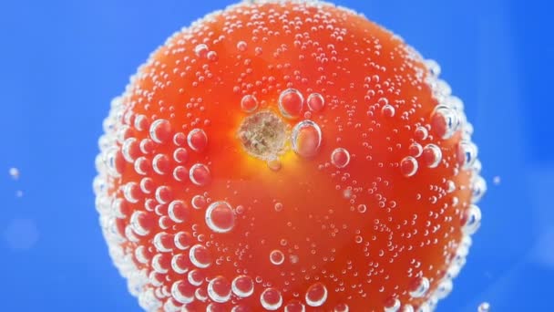 Rode rijpe tomaat close-up in water, selectieve focus — Stockvideo