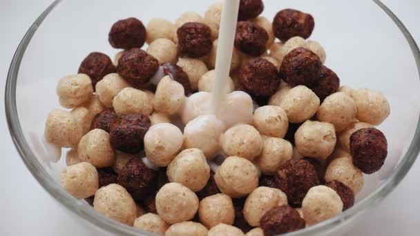Derrama leite para o café da manhã cereais bolas de chocolate de trigo — Vídeo de Stock