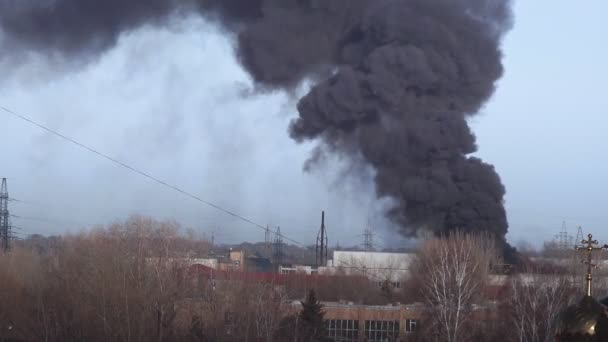 Черный дым поднимается высоко в небо. Пожар за городом. — стоковое видео