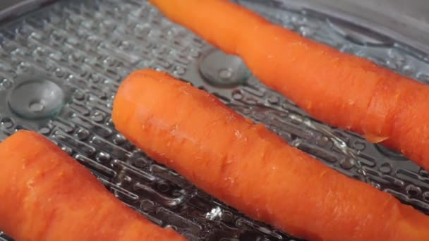 Frische Karotten in einem Dampfgarer, kochen nützliches Diätgemüse. — Stockvideo