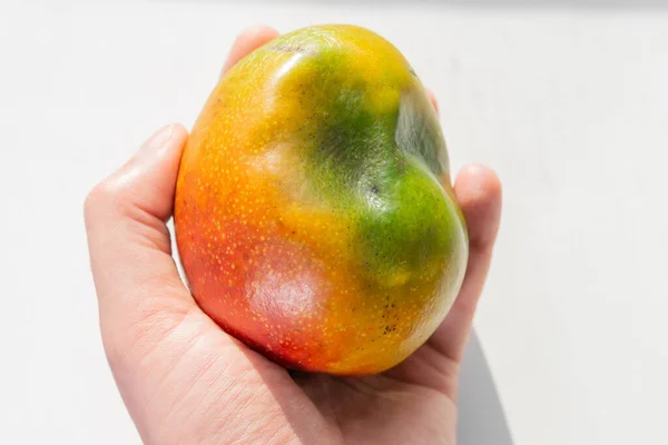 Moda Brutto Mango Biologico Deforme Con Una Pelle Brutta Danneggiata — Foto Stock