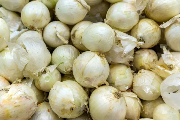 Cebollas Blancas Maduras Crudas Fondo Pila Vender Verduras Hipermercado — Foto de Stock