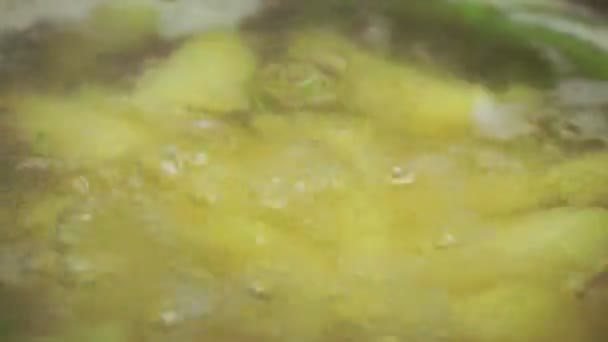 Cuisson de la soupe aux pommes de terre, eau bouillante dans une casserole close-up, macro — Video