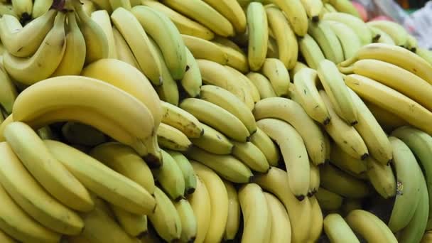 Wiele bananów na rynku, kupujący w rękawiczkach wybiera owoce. — Wideo stockowe