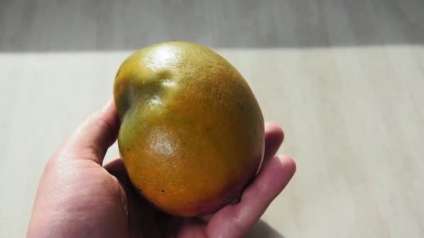 Fashion ugly organic mango. Deformed with a damaged, ugly skin. — Stock Video