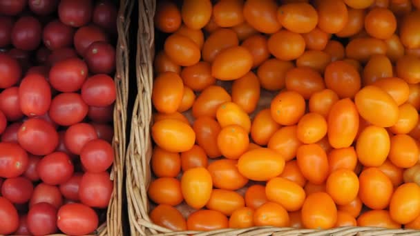 Tomates amarelos e vermelhos. venda de legumes maduros no mercado — Vídeo de Stock