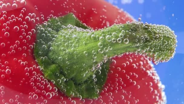 Zoete rode paprika sluit de macro in het water onder water. sappige verse rijpe — Stockvideo