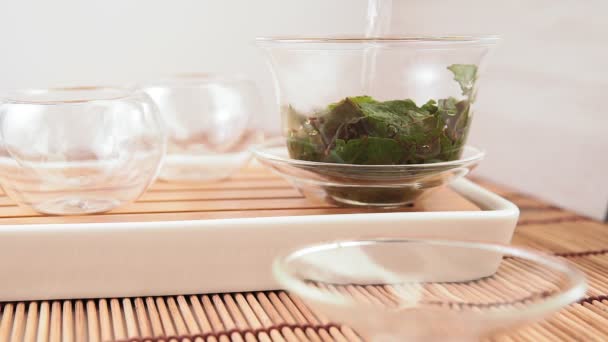 Наливает китайский зеленый чай из стеклянного чайника в маленькую чашку. Закрыть селективную фокусировку — стоковое видео