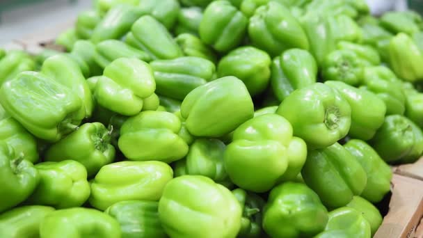 Organic green pepper crop background. texture is fresh large color. — Stock Video