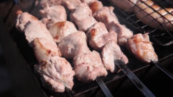 Roasted meat on the grill cooking on the coals — Stock Video