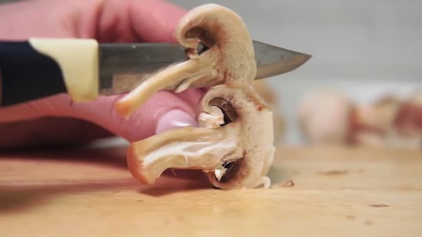 Champignons crus tranchés. Le concept d'une alimentation saine, végétarisme, champignons. — Video