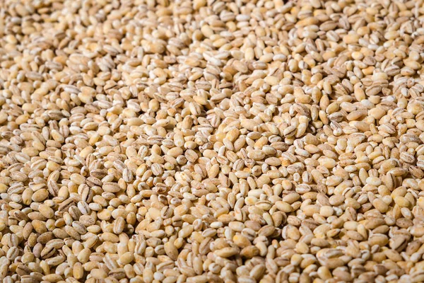 Grits pearl barley background texture — Stock Photo, Image
