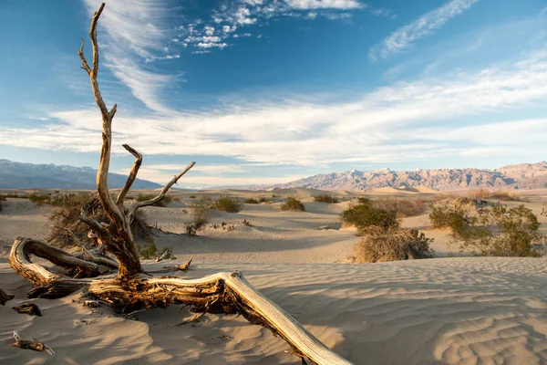 Park Narodowy Dolina Śmierci — Zdjęcie stockowe