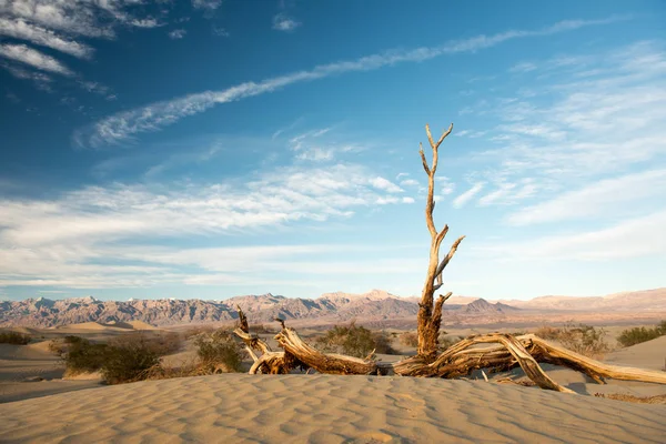 Nationaal park Death Valley — Stockfoto