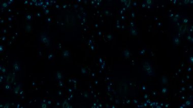 Siyah arkaplan videosundaki mavi parçacıklar harika bir video klibidir. Bu 1920x1080 (HD) video klibi herhangi bir projede arka plan olarak kullanılabilir. Bu görüntüler bir sonraki kurgunda, projende ya da filminde harika görünecek..