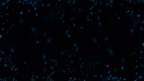 Blue Particles Sur Une Vidéo Fond Noir Est Excellent Clip — Video