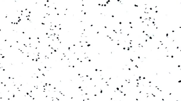 Particules noires sur un fond blanc stock vidéo est un excellent clip vidéo. Ce clip vidéo 1920x1080 (HD) peut être utilisé comme arrière-plan dans n'importe quel projet. Ces images seront superbes dans votre prochain montage, projet ou film .