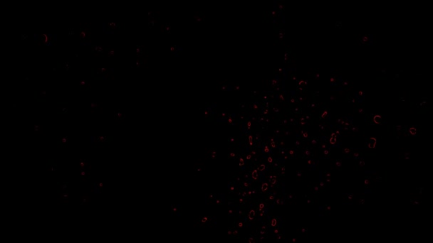 Красные Пузыри Черном Фоновом Видео Является Большим Видео Клип Видеоклип — стоковое видео