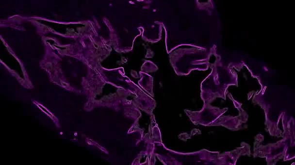 Siyah Arkaplandaki Menekşe Soyutlaması Harika Bir Video Klibidir 1920X1080 Video — Stok video