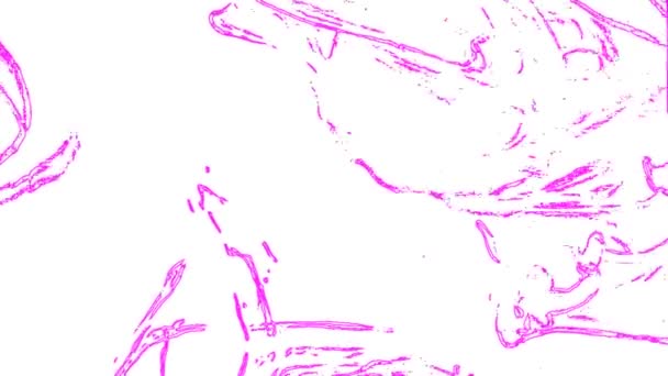 Фіолетові Хвилі Білому Фоні Відео Чудовим Відеокліпом Цей Відеокліп 1920X1080 — стокове відео