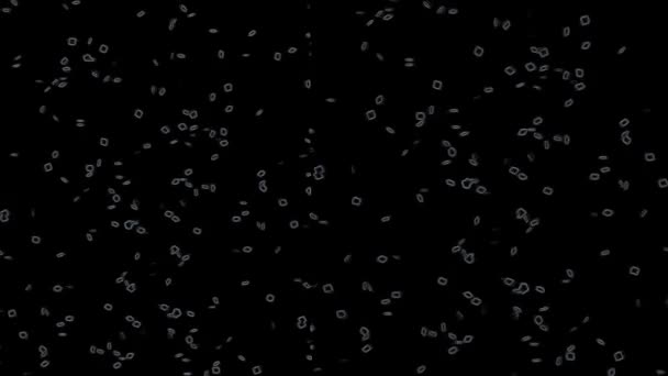 White Particles Black Background Stock Video Great Video Clip 1920X1080 — Stock Video