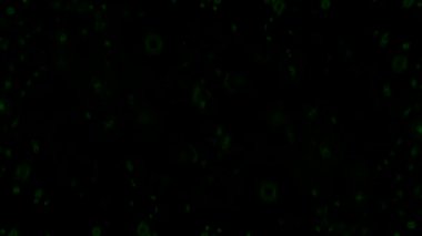 Siyah arkaplan stok videosundaki yeşil parçacıklar harika bir video klibi. Bu 1920x1080 (HD) video klibi herhangi bir projede arka plan olarak kullanılabilir. Bu görüntüler bir sonraki kurgunda, projende ya da filminde harika görünecek..