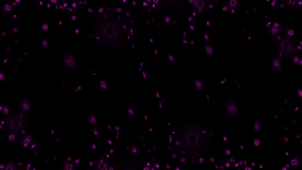 Σωματίδια Violet Μαύρο Φόντο Απόθεμα Βίντεο Είναι Ένα Μεγάλο Βίντεο — Αρχείο Βίντεο