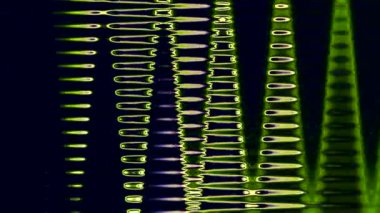 Renkli soyut arka plan mavi-yeşil stok videosu harika bir video klibidir. Bu 1920x1080 (HD) video klibi herhangi bir projede arka plan olarak kullanılabilir. Bu görüntüler bir sonraki kurgunda, projende ya da filminde harika görünecek..