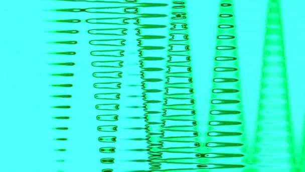 Красочный Абстрактный Фон Светло Зеленый Синий Фондовый Видео Является Большим — стоковое видео