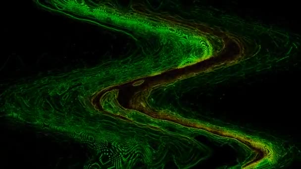 Green Abstraction Curves Black Background Stock Video Great Video 1920X1080 — Stock Video