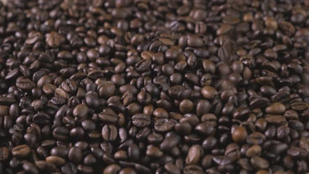 커피 콩입니다. 손 흩어져 커피 콩. 여자 손 터치 커피 콩. 곡물의 품질 볶은 커피 비행에. 4 k. — 비디오