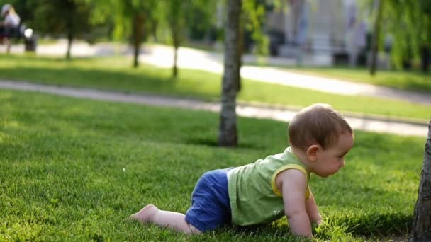 幸せな子供は初めて木に触れてゆっくりと。赤ちゃんから草原をゆっくりとクロールします。赤ちゃんの小さな世界。スローモーション。4 k. — ストック動画