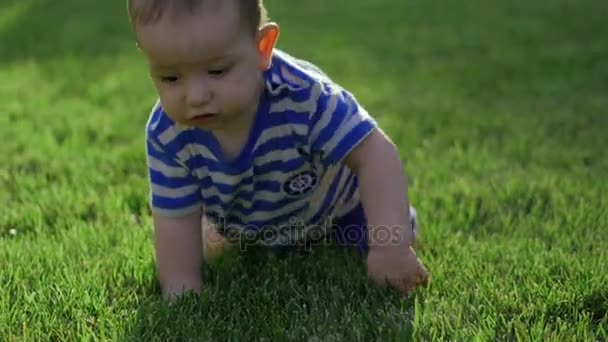 Bebê rastejando lentamente no prado. O pequeno mundo dos bebés. Movimento lento. 4k . — Vídeo de Stock