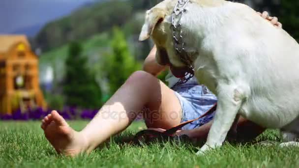 A teenage girl is playing with her favorite dog in the park. He is a devoted friend of man. — Stock Video