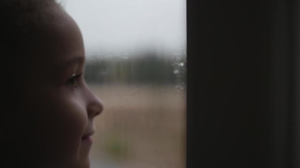 A menina olha para a chuva atrás da janela. Filmagem de stock . — Vídeo de Stock