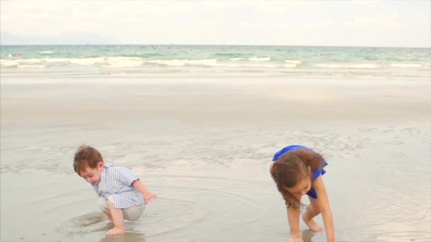 Young family, children, brother and sister play near the ocean coast. Happy family, walking along the seacoast. — Stock Video