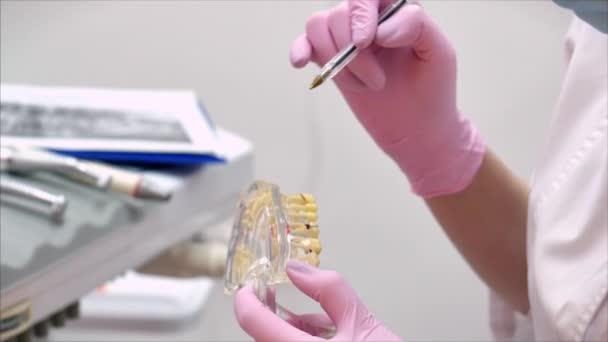 Mujer Dentista Tratando Dientes a Mujer Paciente en Clínica.Dentista muestra al paciente en el modelo de la mandíbula cómo tratar adecuadamente sus dientes, da lecciones sobre el cuidado adecuado de los dientes y la cavidad oral — Vídeo de stock