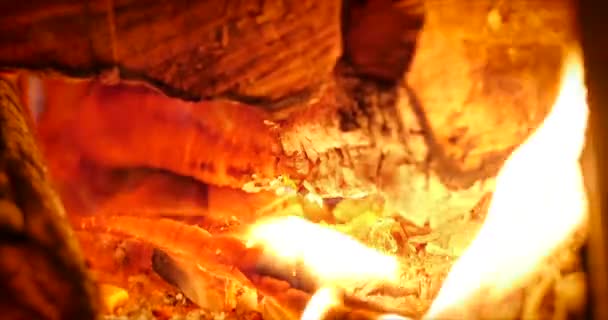 L'arbre brûle magnifiquement dans la cheminée. Main d'homme met du bois de chauffage dans le poêle. Brûler le feu dans la cheminée. 4K. Pince de boucle de cheminée à flamme moyenne 
