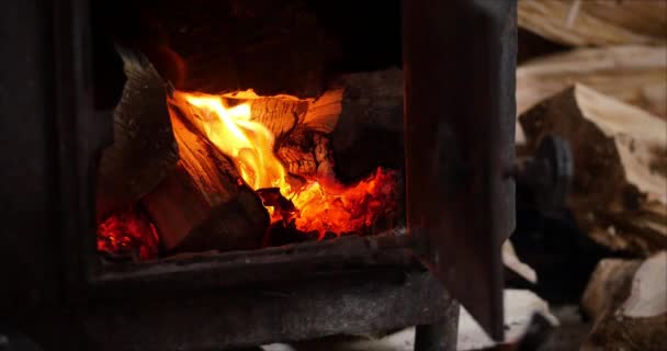 El árbol arde maravillosamente en la chimenea. La mano masculina pone leña en la estufa. Quemando fuego en la chimenea. 4K. Abrazadera de lazo de chimenea de llama media — Vídeo de stock