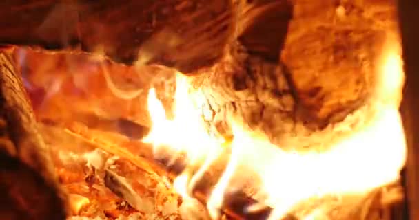 Grampo de laço de lareira de chama média. Árvore queima lindamente na lareira. A mão masculina põe lenha no fogão. A queimar fogo na lareira. 4K . — Vídeo de Stock