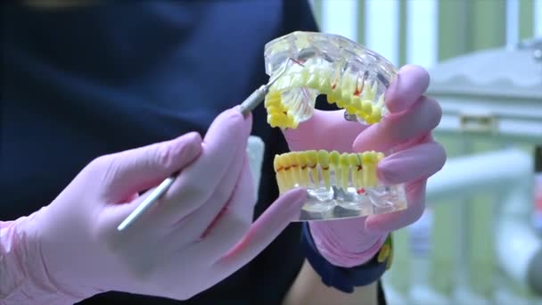 Mujer Dentista Tratando Dientes a Mujer Paciente en Clínica.Dentista muestra al paciente en el modelo de la mandíbula cómo tratar adecuadamente sus dientes, da lecciones sobre el cuidado adecuado de los dientes y la cavidad oral — Vídeo de stock