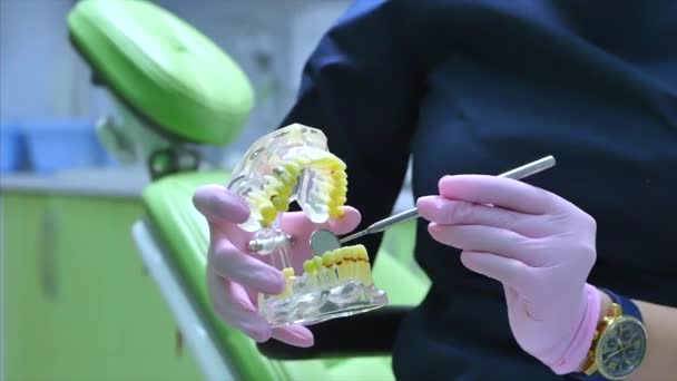 Mujer Dentista Tratando Dientes a Mujer Paciente en Clínica.Dentista muestra al paciente en el modelo de la mandíbula cómo tratar adecuadamente sus dientes, da lecciones sobre el cuidado adecuado de los dientes y la cavidad oral — Vídeos de Stock